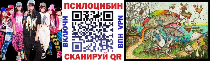blacksprut как войти  Николаевск  Галлюциногенные грибы Psilocybe 